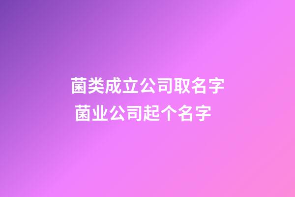 菌类成立公司取名字 菌业公司起个名字